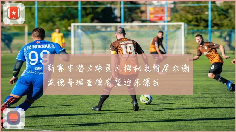 新赛季潜力球员大揭秘惠特摩尔谢泼德普理查德有望迎来爆发