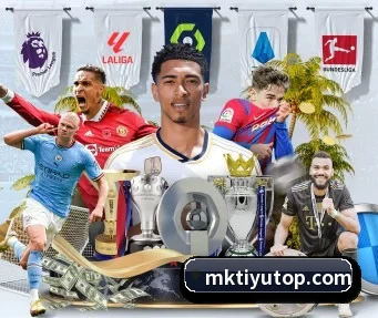 MK体育 APP - MKSPORTS